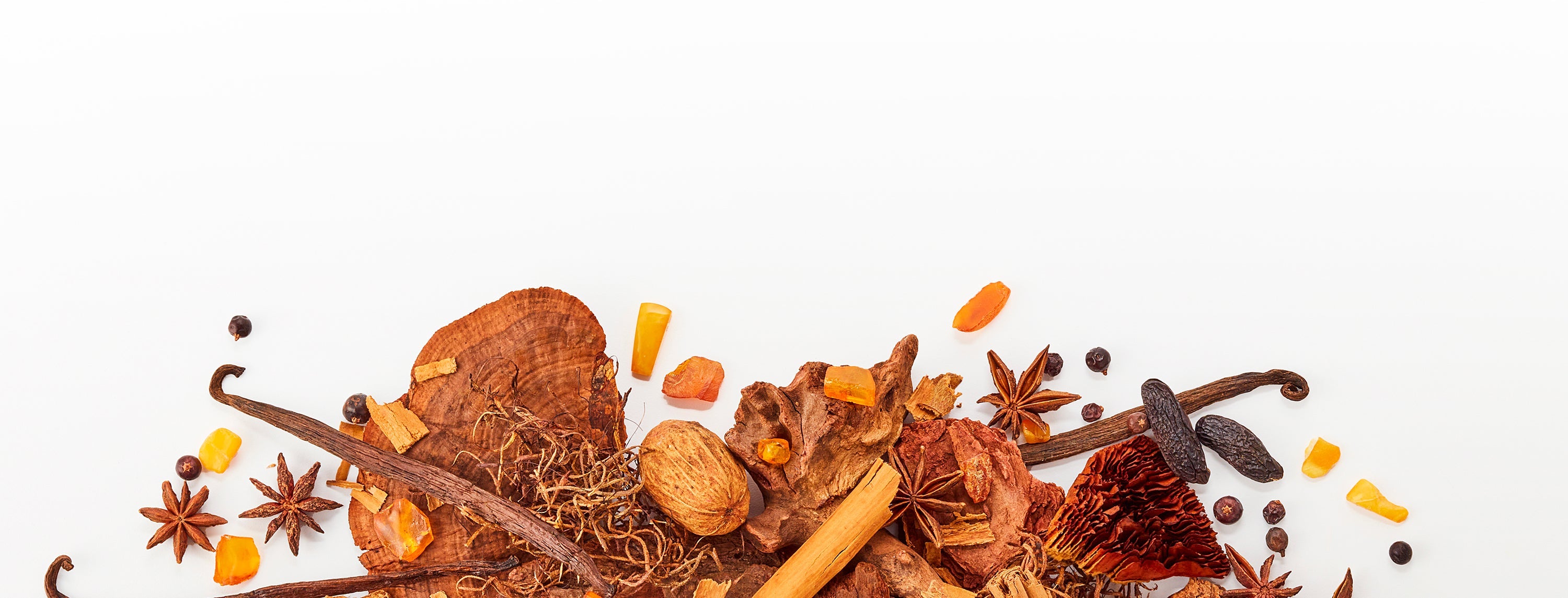 Warm & Woody Fragrances