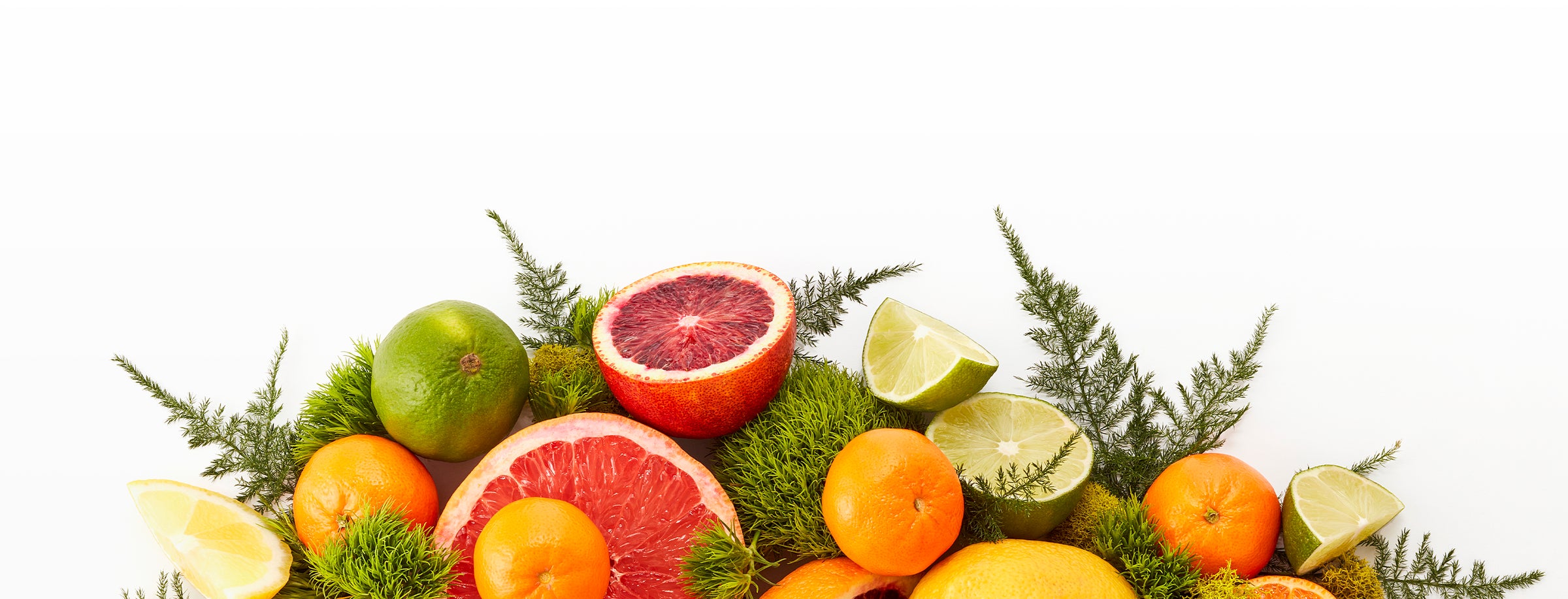 Freshly cut oranges, grapefruits, and lemons piled up next to fresh basil leaves and bundles of green grass