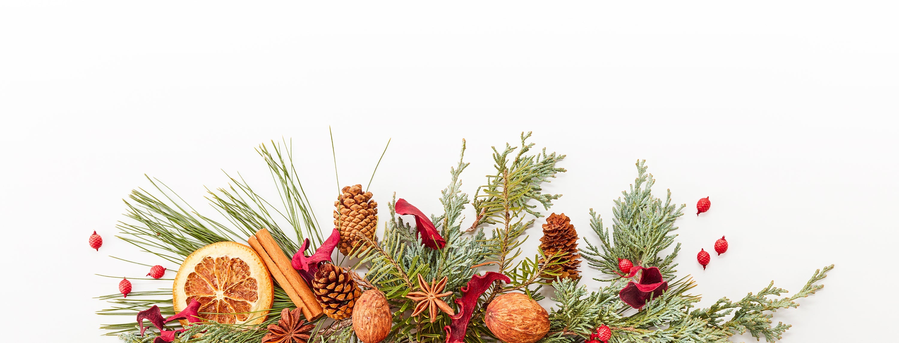 Holiday Fragrances