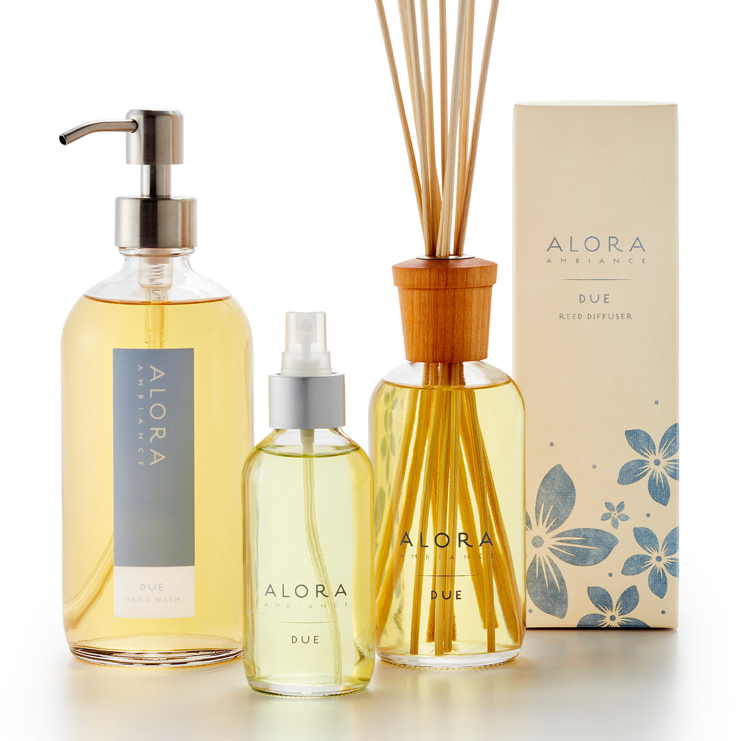 Due-scented hand wash with stainless steel pump, room spray bottle, and reed diffuser with box