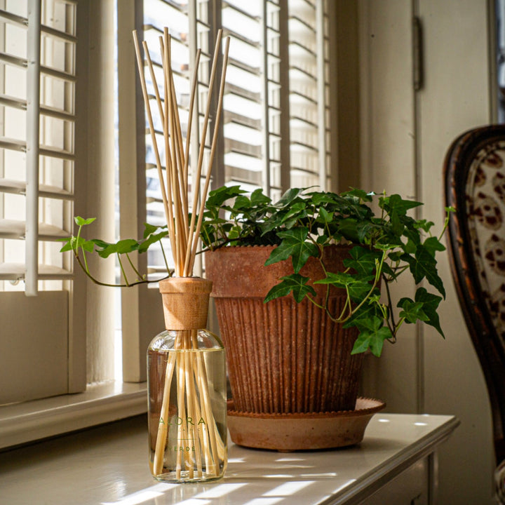 Reed diffuser on window sill next to terracotta pot filled with ivy.