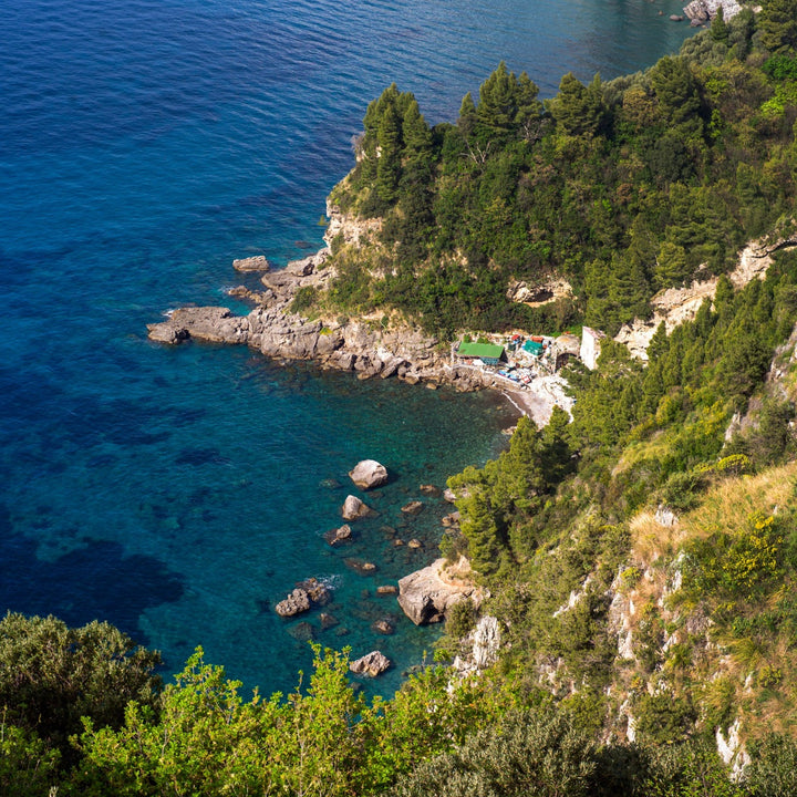 Rocky coastline covered with green trees
