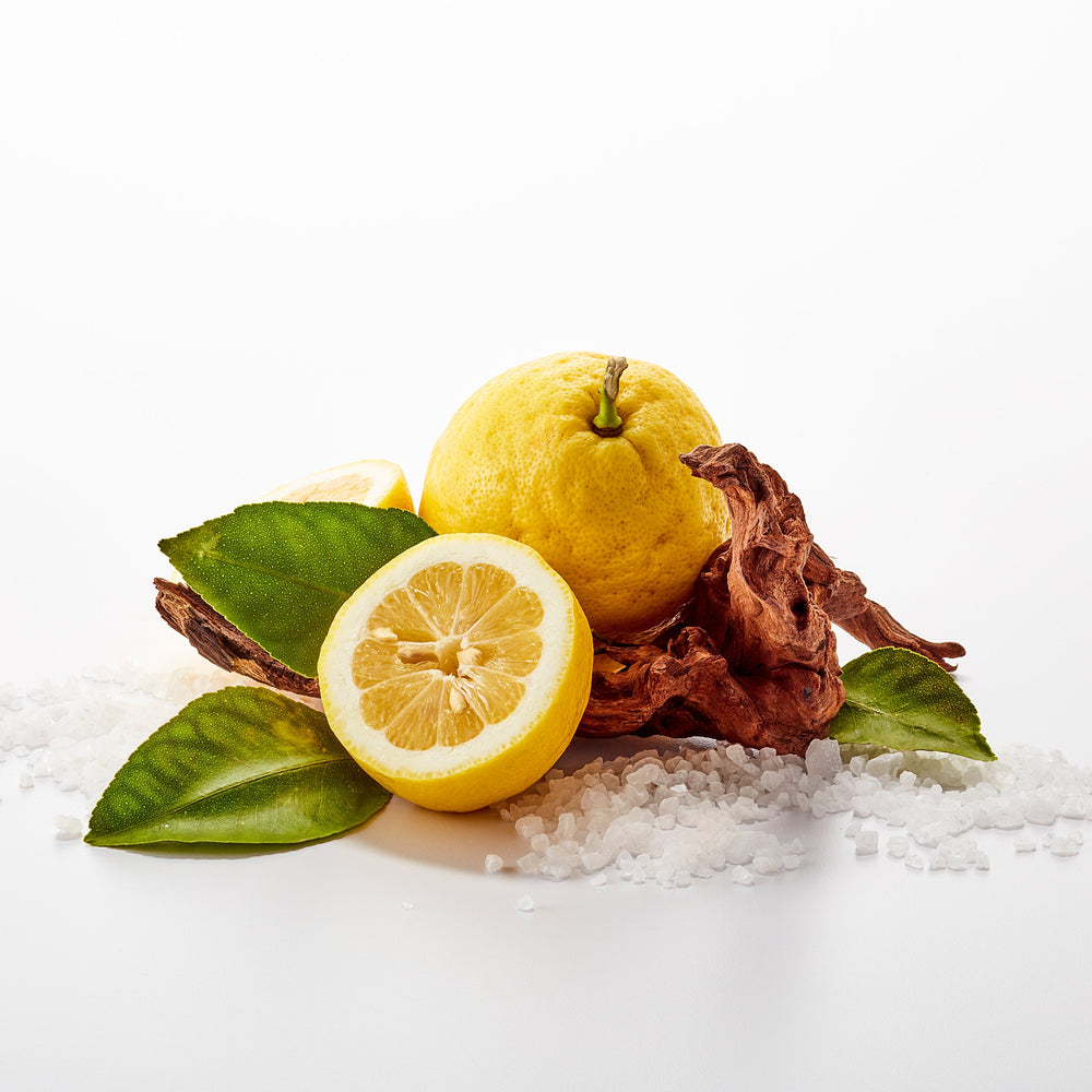 Lemon, sea salt, cedarwood, and leaves in a bundle