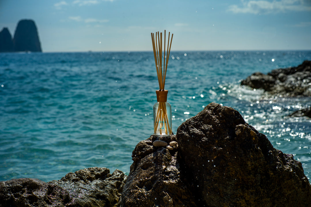 Mare reed diffuser sitting on rocky edge of the ocean