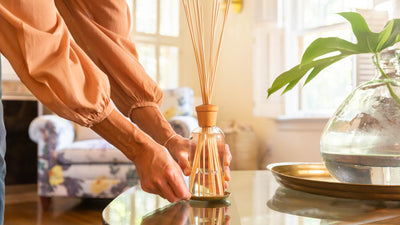 How to Use a Reed Diffuser & Other Frequently Asked Questions