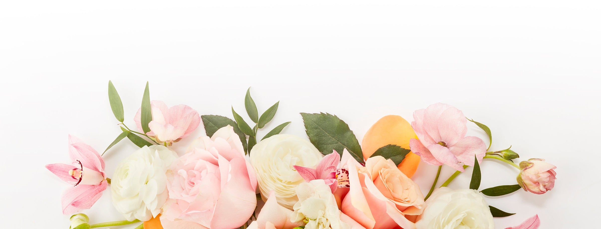 White roses and leaves and gardenia flowers piled together on a white backdrop