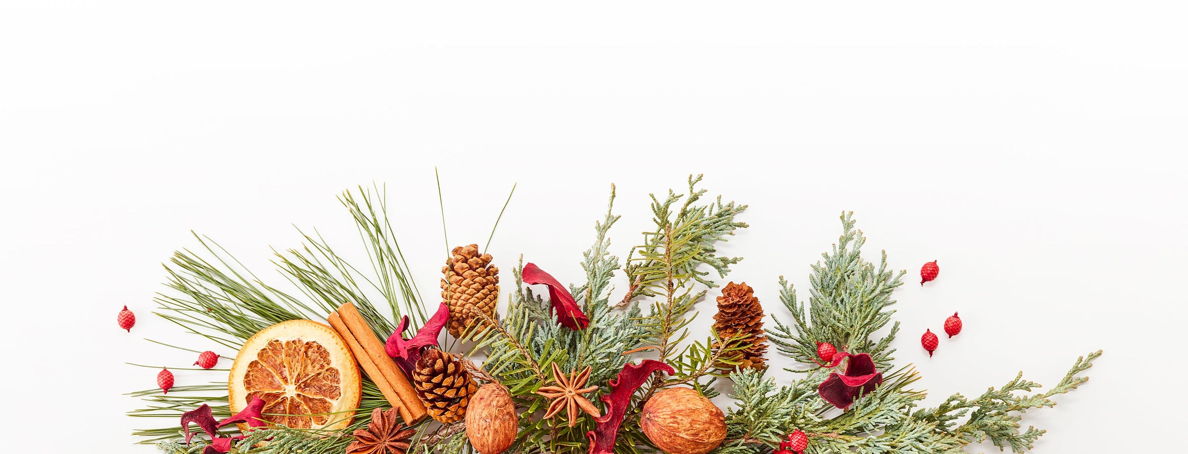 Pine greens, dried orange slices, cinnamon sticks, pine cones, and red berries placed together on a white backdrop