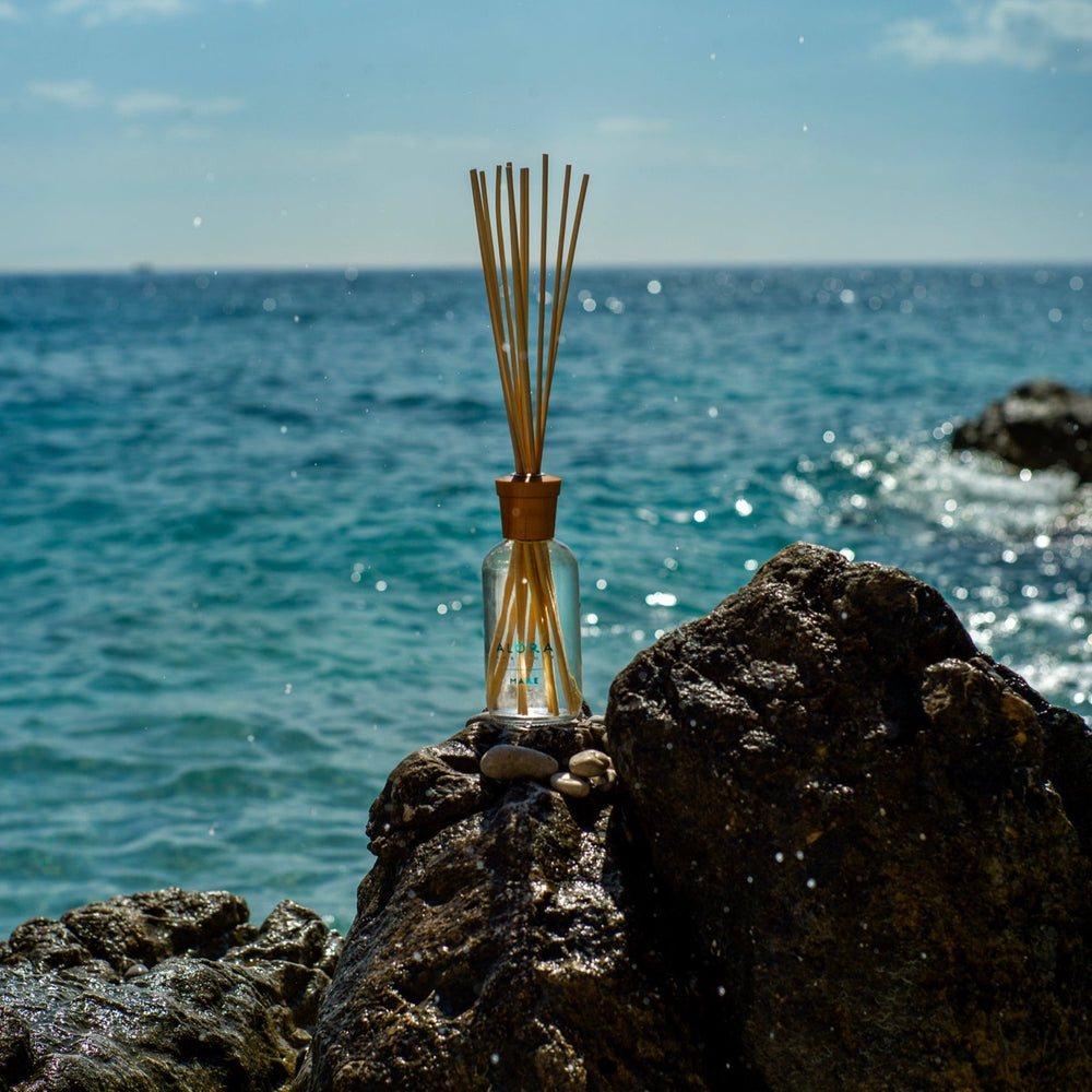 Mare reed diffuser bottle sitting on a rock next to the ocean