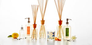 Reed diffusers, hand wash bottles, room sprays, and a Due candle in front of white background