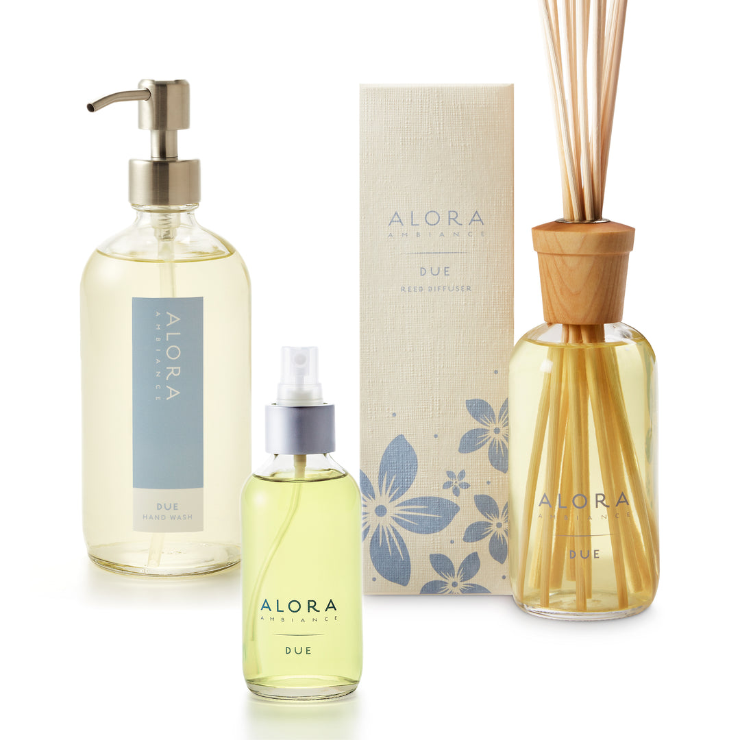 Due-scented hand wash with stainless steel pump, room spray bottle, and reed diffuser with box