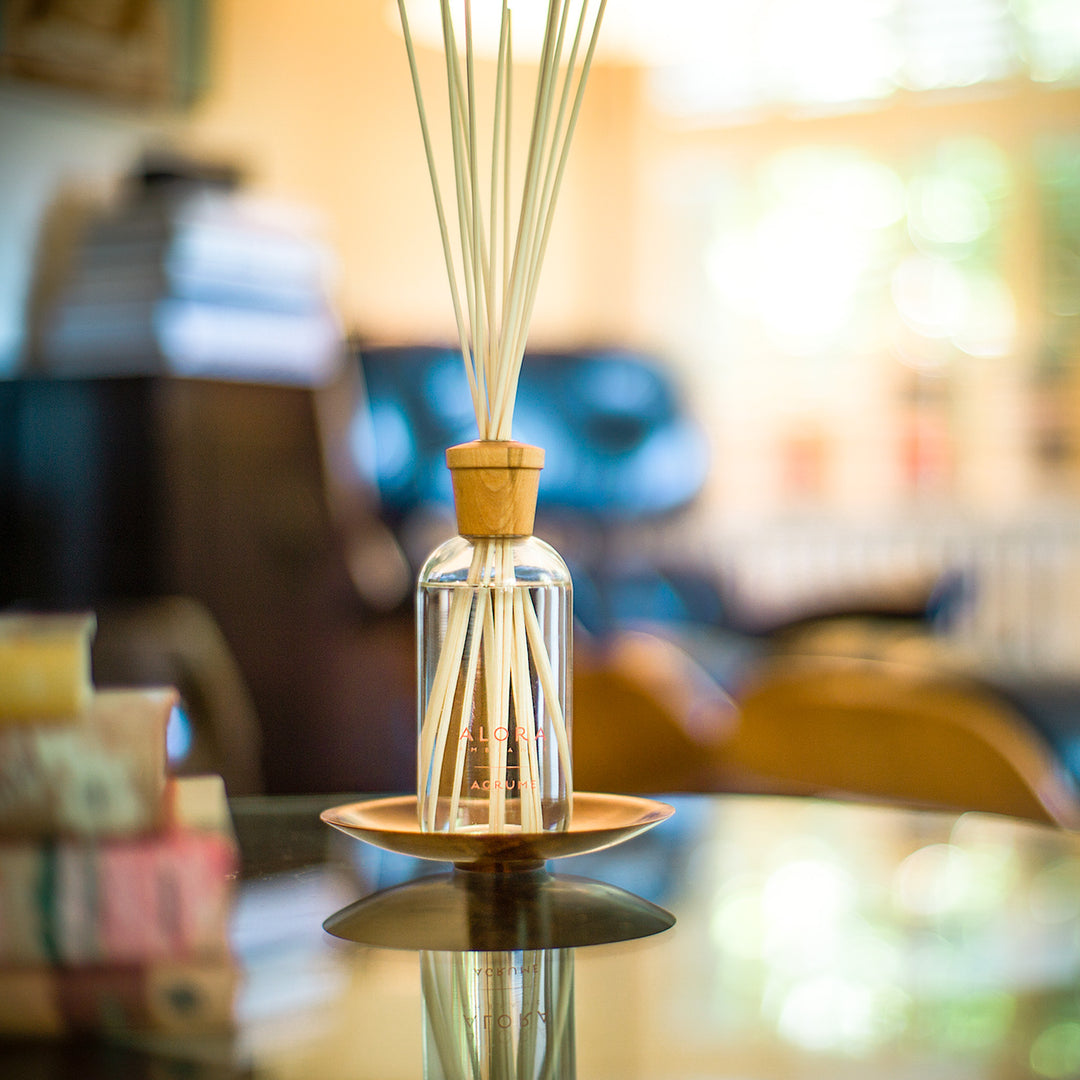 Agurme reed diffuser next to a pile of books in a living room