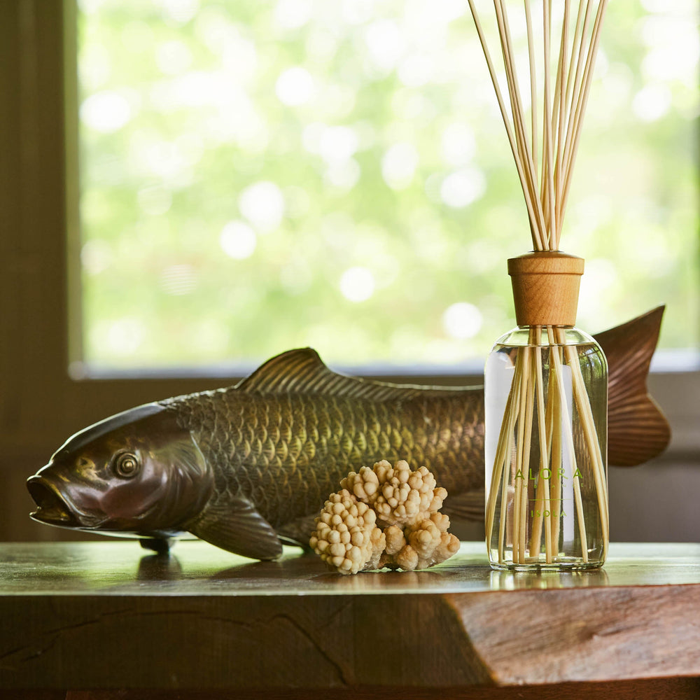Isola reed diffuser next to a piece of coral and a brass fish sculpture